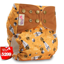 Load image into Gallery viewer, Reusable Diaper