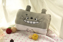 Load image into Gallery viewer, Cartoon Totoro warm winter hand warmer pillow warm hand plush toys Girls Valentine&#39;s Day gift
